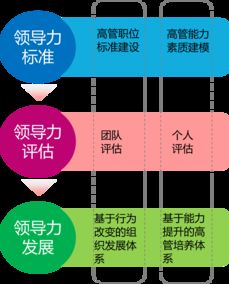 中智管理咨詢 專業企業管理咨詢服務助力企業發展