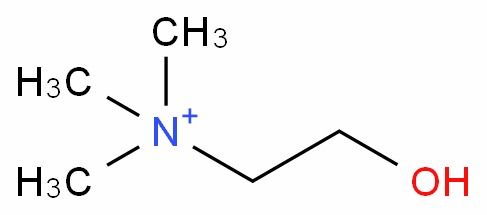 l 膽堿 cas 62 49 7 生產(chǎn)廠家 批發(fā)商 價(jià)格表