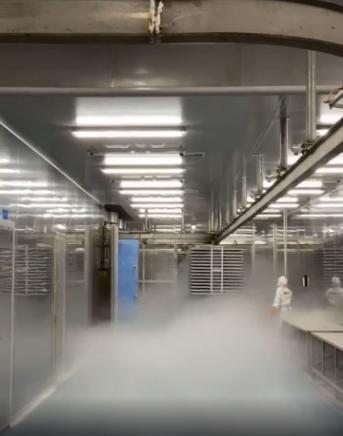 探廠國內(nèi)寵物食品凍干廠 國產(chǎn)凍干品質(zhì)如何，L-羥脯氨酸生產(chǎn)的關鍵作用